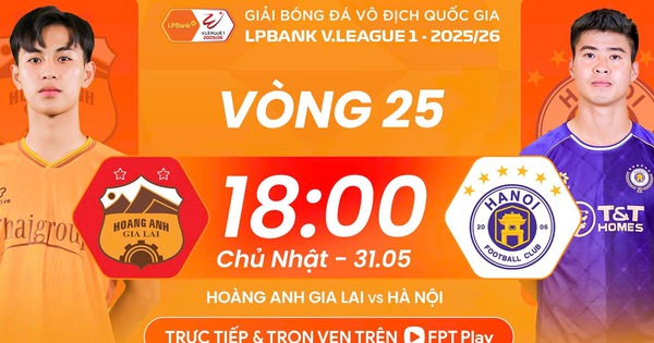 Cá cược bóng đá online
